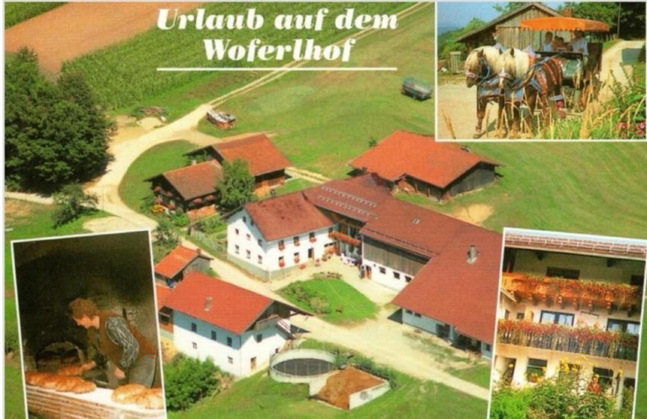 Woferlhof, Ferienhof Boxhorn Böbrach Buitenkant foto
