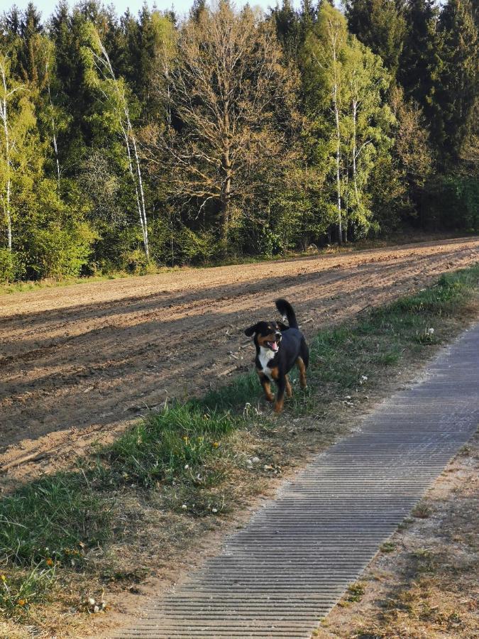 Woferlhof, Ferienhof Boxhorn Böbrach Buitenkant foto