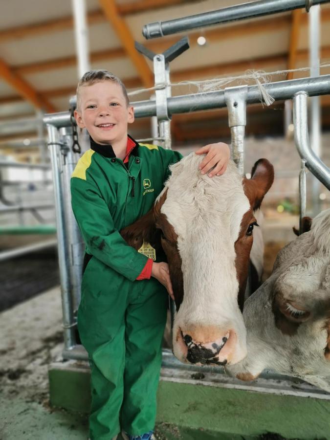 Woferlhof, Ferienhof Boxhorn Böbrach Buitenkant foto