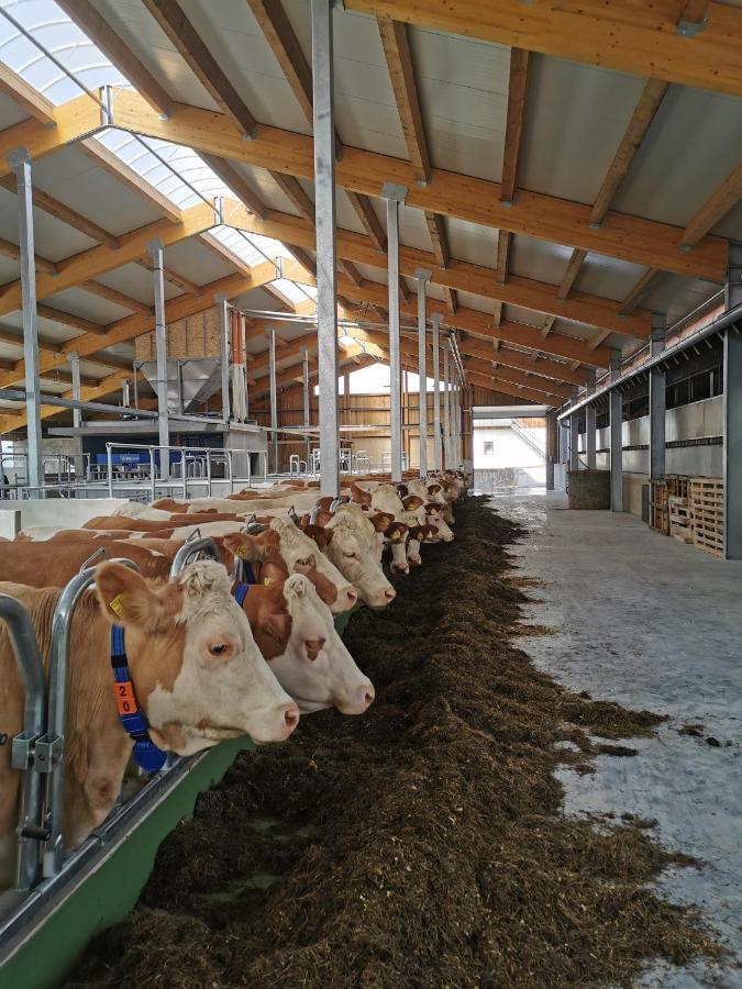 Woferlhof, Ferienhof Boxhorn Böbrach Buitenkant foto